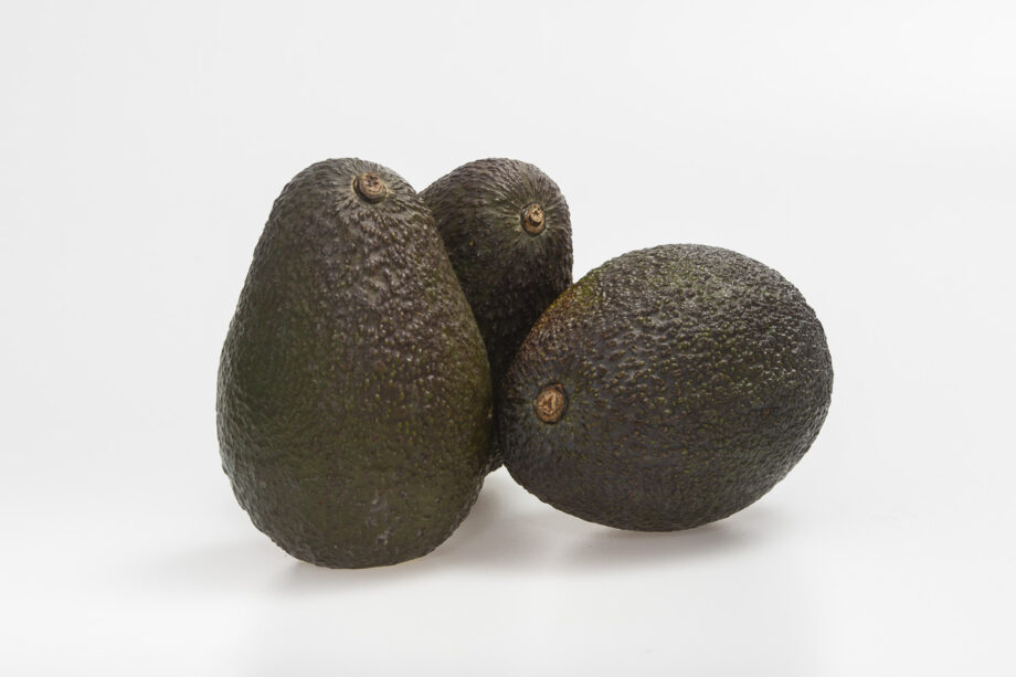 Avocat calibre 20