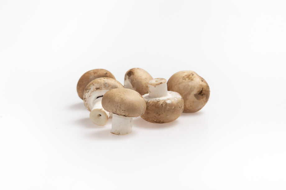 Champignon rose de dordogne france