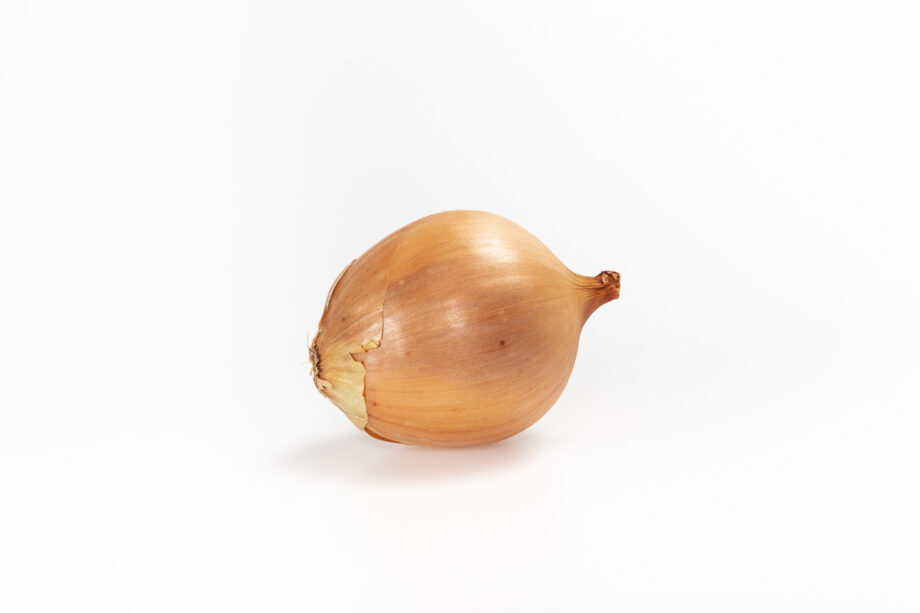 Oignon jaune