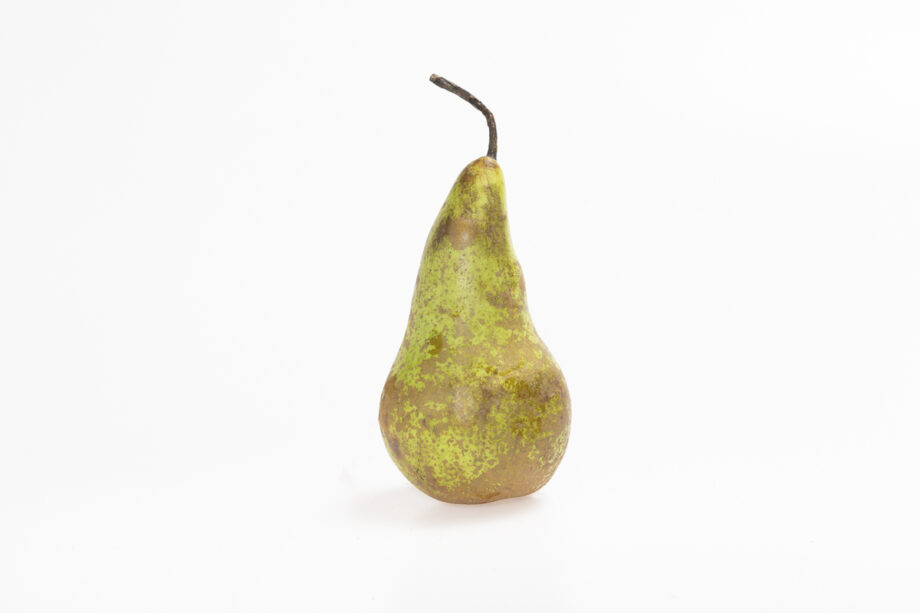 Poire conference