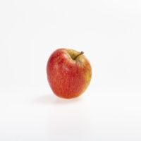 Pomme reinette