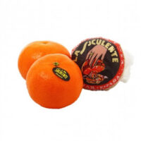 Clementine soculente