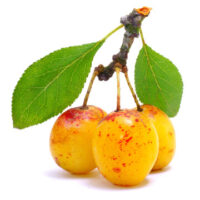Mirabelle