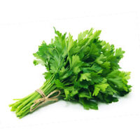 Persil plat