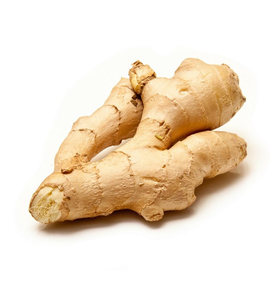 Gimgembre frais