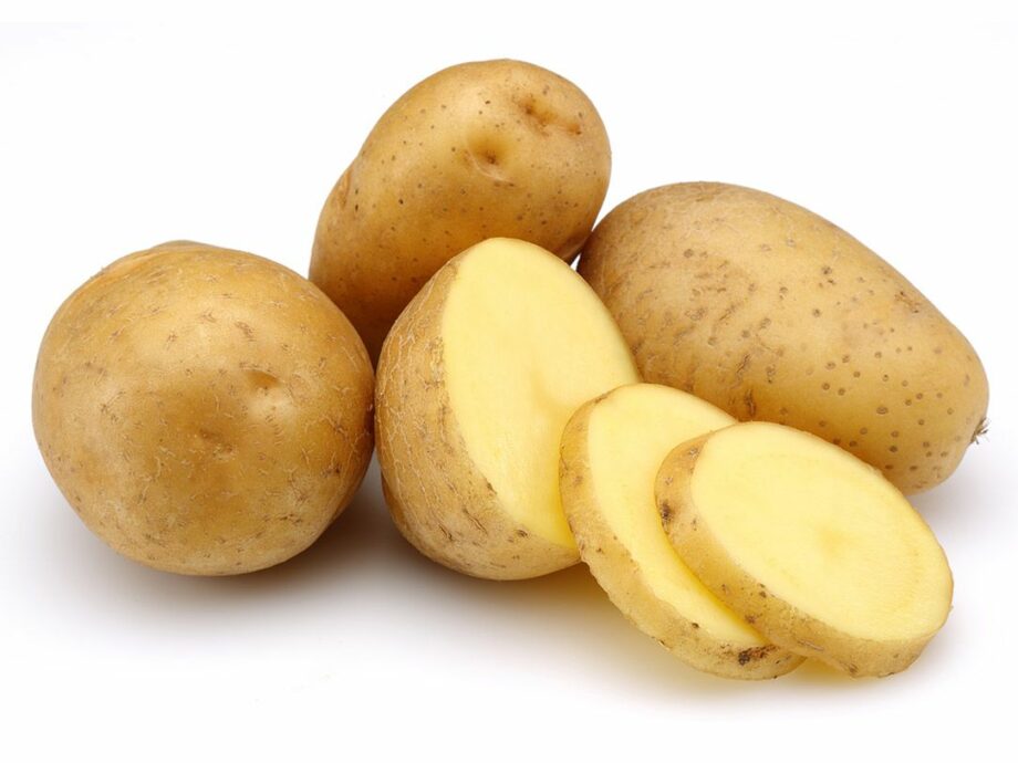 Pomme de terre binje du nord pour puré et frittes