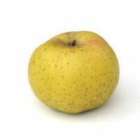 Pomme chanteclerc
